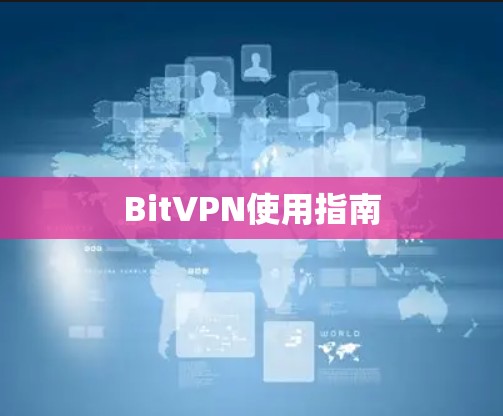 BitVPN使用指南 BitVPN使用指南