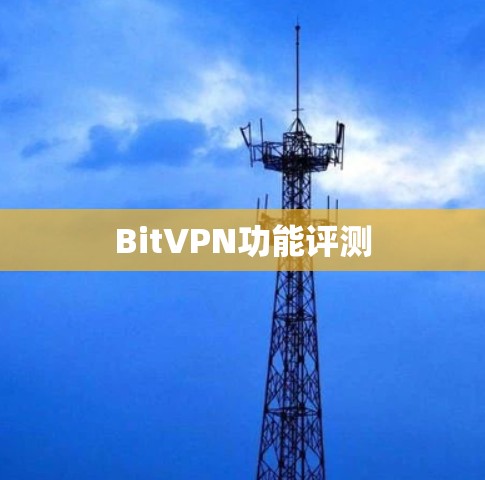 BitVPN功能评测