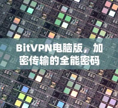 BitVPN电脑版，加密传输的全能密码