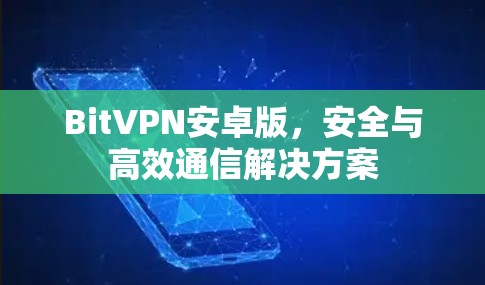 BitVPN安卓版，安全与高效通信解决方案