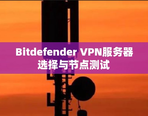 Bitdefender VPN服务器选择与节点测试