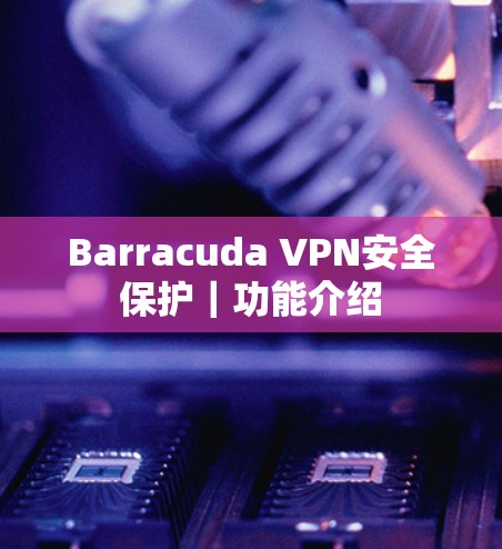 Barracuda VPN安全保护｜功能介绍