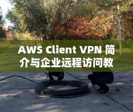 AWS Client VPN 简介与企业远程访问教程