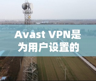 Avast VPN是为用户设置的VPN，旨在保护个人隐私和网络安全。以下是Avast VPN的隐私保护和安全设置教程的详细步骤
