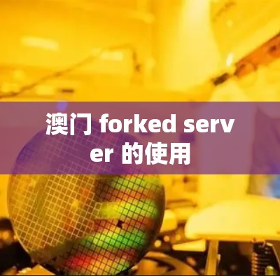 澳门 forked server 的使用