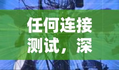 任何连接测试，深入理解网络性能的关键