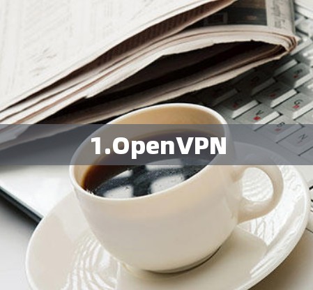 1.OpenVPN