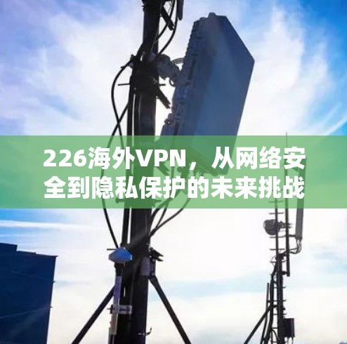 226海外VPN，从网络安全到隐私保护的未来挑战