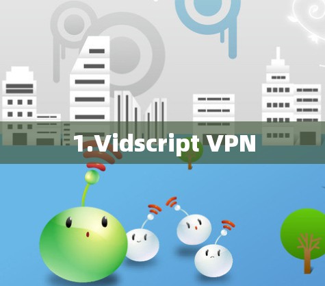 1.Vidscript VPN