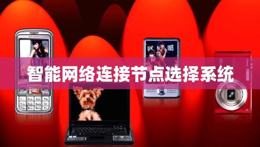 智能网络连接节点选择系统