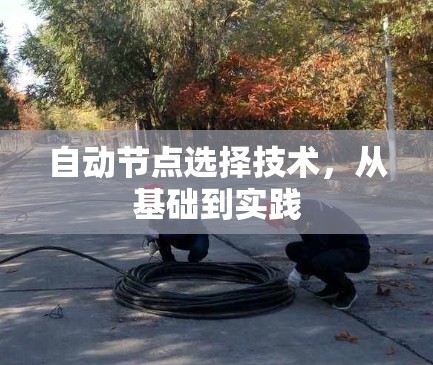 自动节点选择技术，从基础到实践