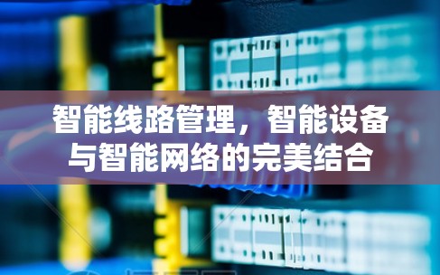 智能线路管理，智能设备与智能网络的完美结合