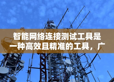 智能网络连接测试工具是一种高效且精准的工具，广泛应用于设备制造商、网络运营商和网络测试公司。以下是对这类工具的详细分析