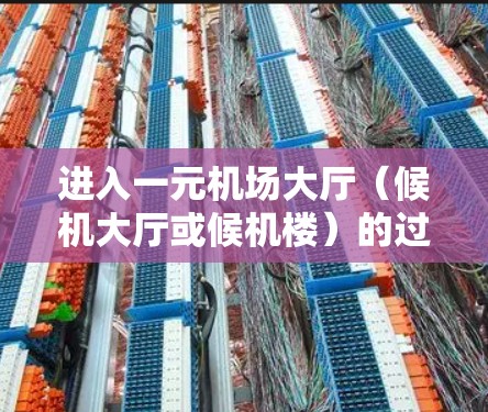 进入一元机场大厅（候机大厅或候机楼）的过程分为以下几个步骤，确保每一步都清晰、正确