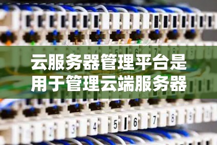 云服务器管理平台是用于管理云端服务器和存储的软件服务，分为SaaS（服务级）和PaaS（应用级）两种类型。以下是对该领域的概述