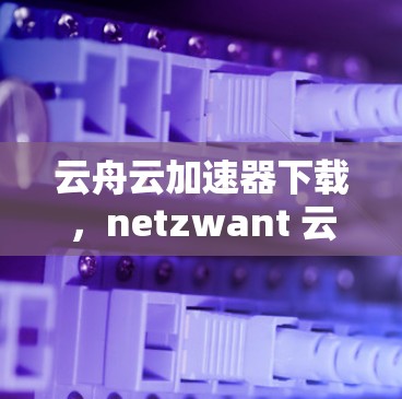 云舟云加速器下载，netzwant 云网络加速工具推荐