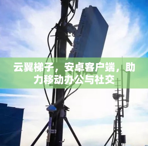 云翼梯子，安卓客户端，助力移动办公与社交