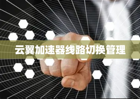 云翼加速器线路切换管理