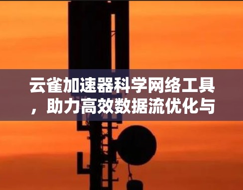云雀加速器科学网络工具，助力高效数据流优化与用户体验提升