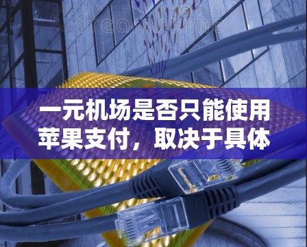 一元机场是否只能使用苹果支付，取决于具体的机场规定和设备条件。以下是一些关键点需要考虑的因素