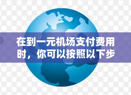 在到一元机场支付费用时，你可以按照以下步骤操作