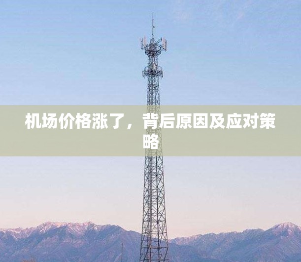 机场价格涨了，背后原因及应对策略