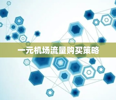 一元机场流量购买策略
