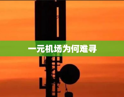 一元机场为何难寻