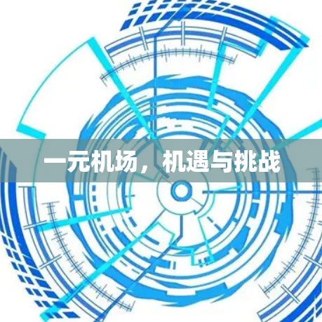 一元机场，机遇与挑战