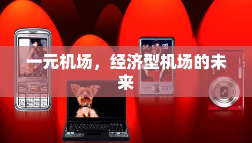 一元机场，经济型机场的未来