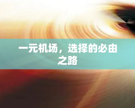 一元机场，选择的必由之路