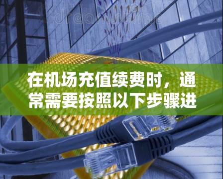 在机场充值续费时，通常需要按照以下步骤进行