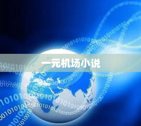 一元机场小说