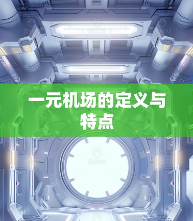 一元机场的定义与特点