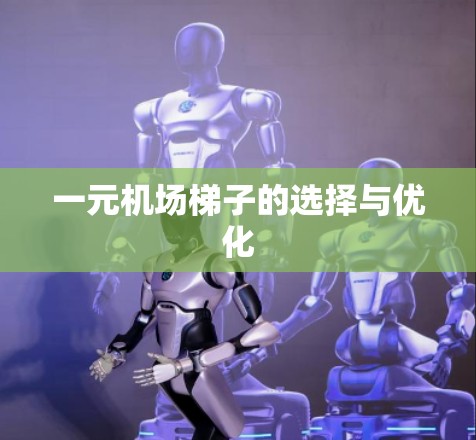一元机场梯子的选择与优化