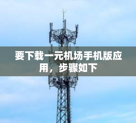 要下载一元机场手机版应用，步骤如下